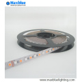 La más vendida SMD5050 RGBW LED Strip Light